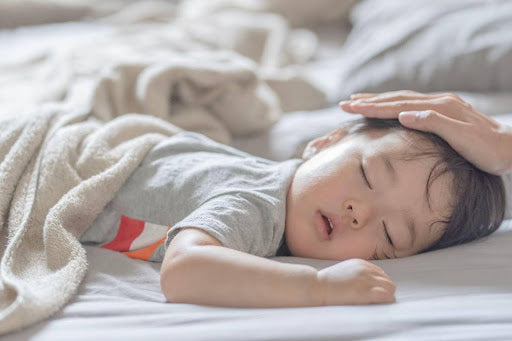 カビ・ダニ撃退！雨の日でも 快適な睡眠を