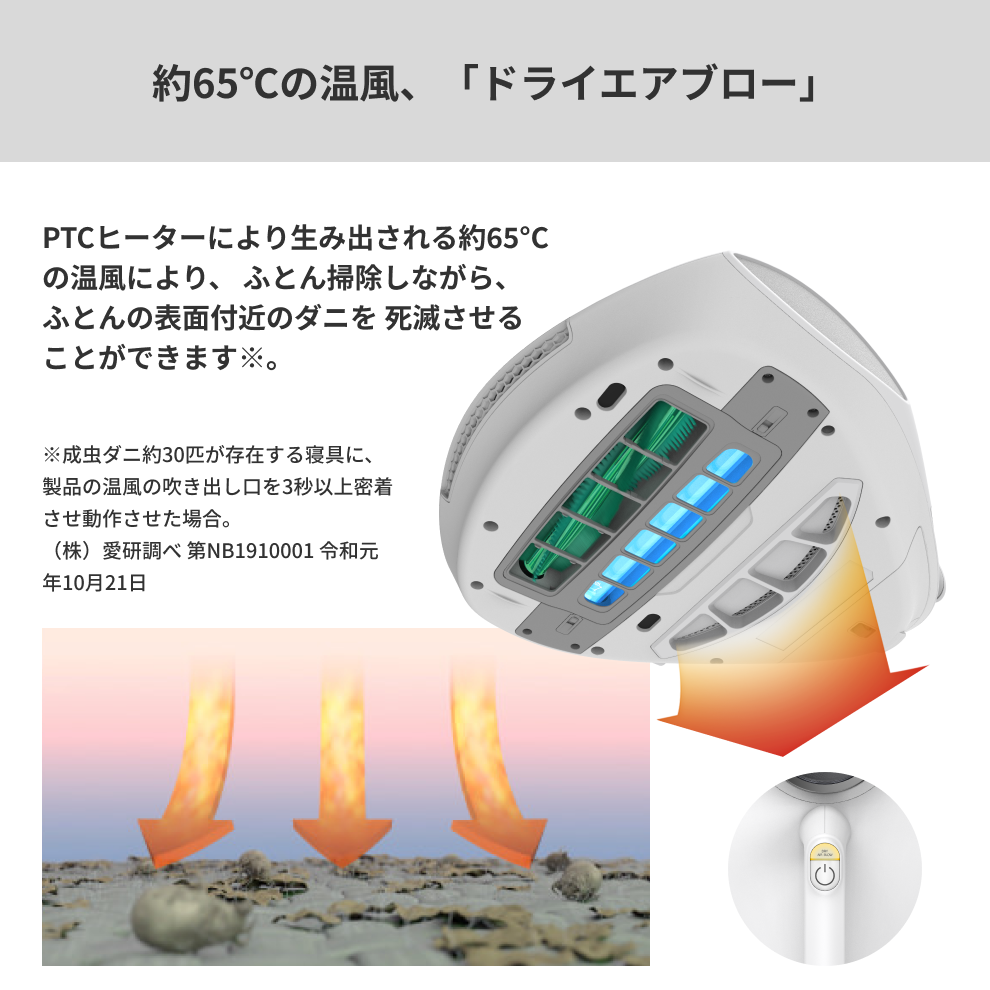 RAYCOP PRO2 (レイコップ プロツー) RS3-300JPWH